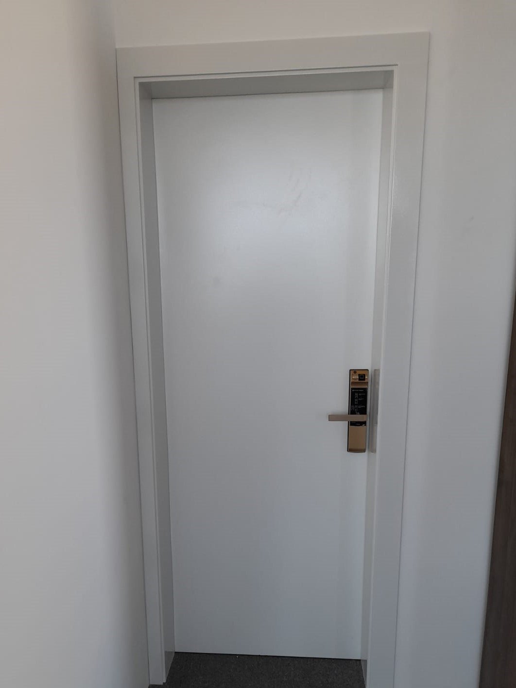 fire rated door with smart lock